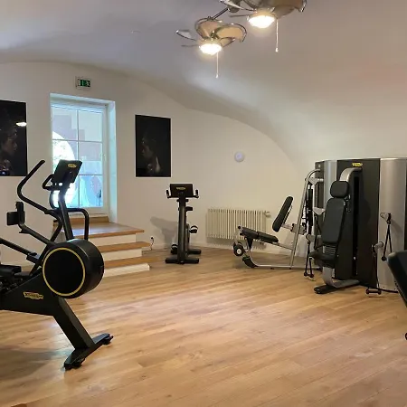 Wolfsbrunn מלון Hartenstein (Saxony)