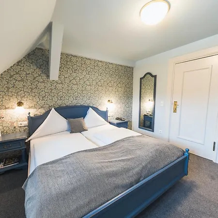 Wolfsbrunn Otel Hartenstein (Saxony)